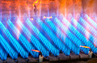 Newbourne gas fired boilers